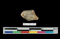 藏品(水晶)的圖片